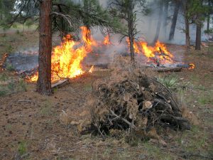 What Are Fire Restrictions
