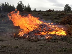 Wet Weather Brings Fall Burning Opportunities