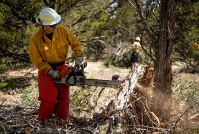 We’re Hiring for a Wildfire Mitigation Crew