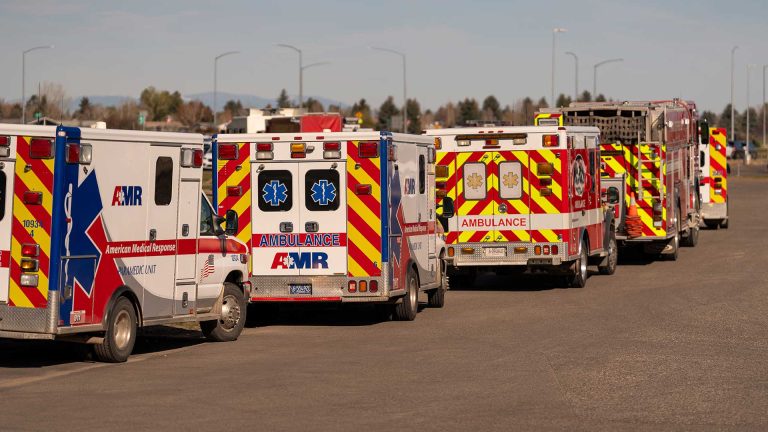 Row of ambulances lined uo.