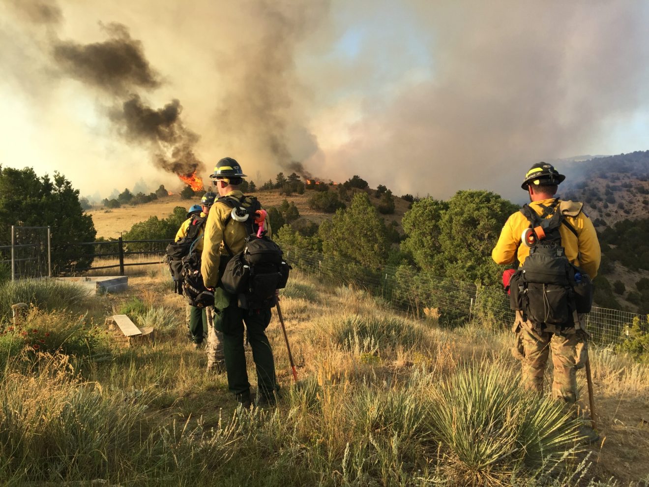 Wildland firefighters preparing as a wildfire approaches.