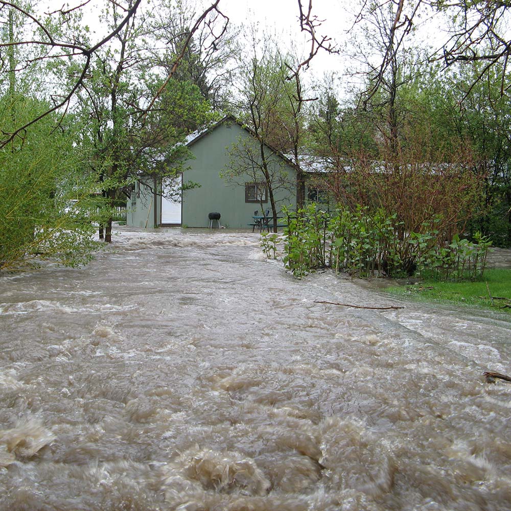 Bozeman Creek in Bozeman flooding