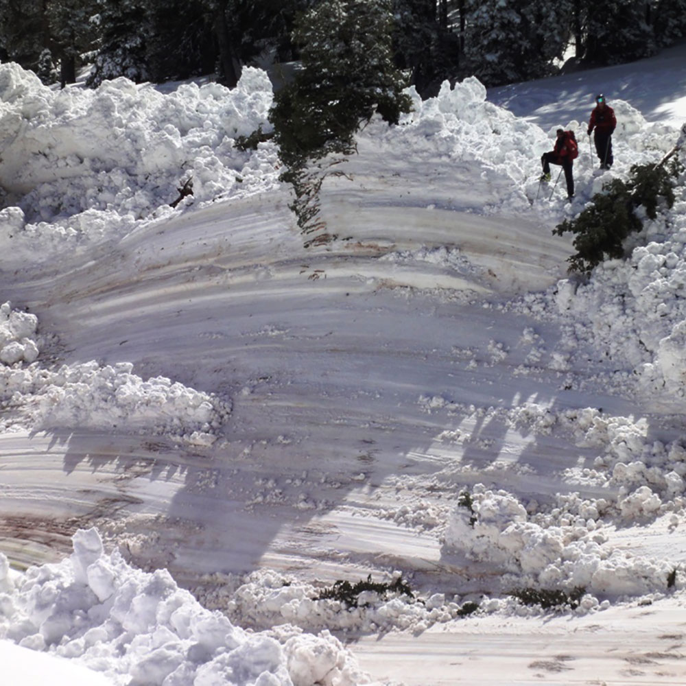 image of avalanche debris path