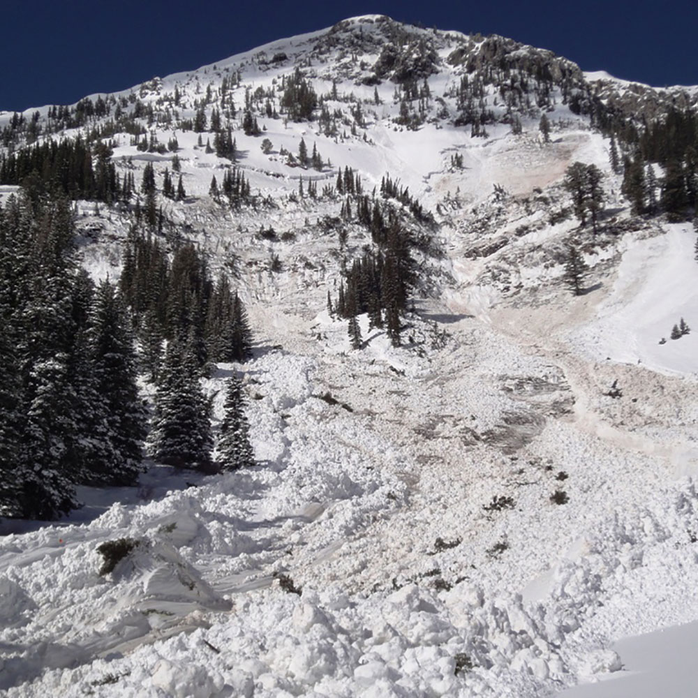 Image of avalanche debris path