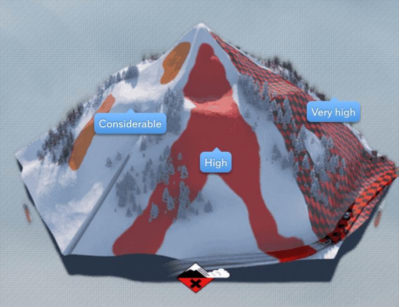 Image of High Risk