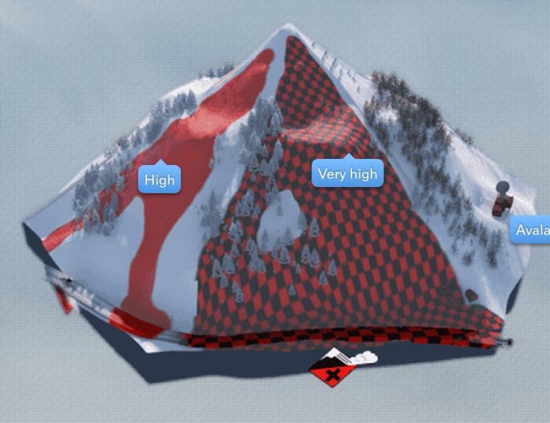 Image of Extreme Risk